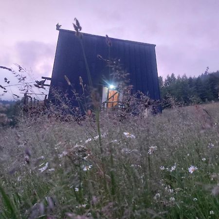 Oak House Διαμέρισμα Palyanytsya Εξωτερικό φωτογραφία