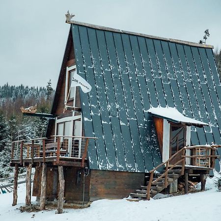 Oak House Διαμέρισμα Palyanytsya Εξωτερικό φωτογραφία