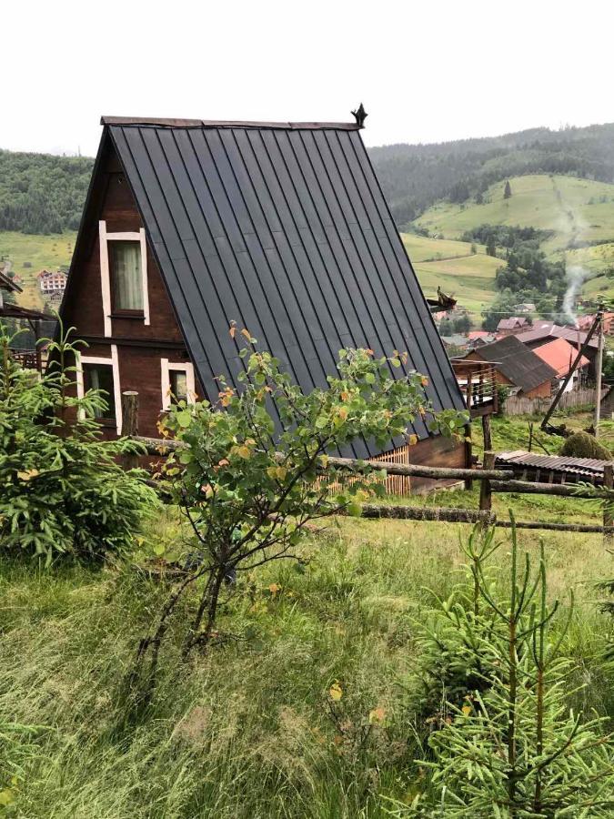 Oak House Διαμέρισμα Palyanytsya Εξωτερικό φωτογραφία