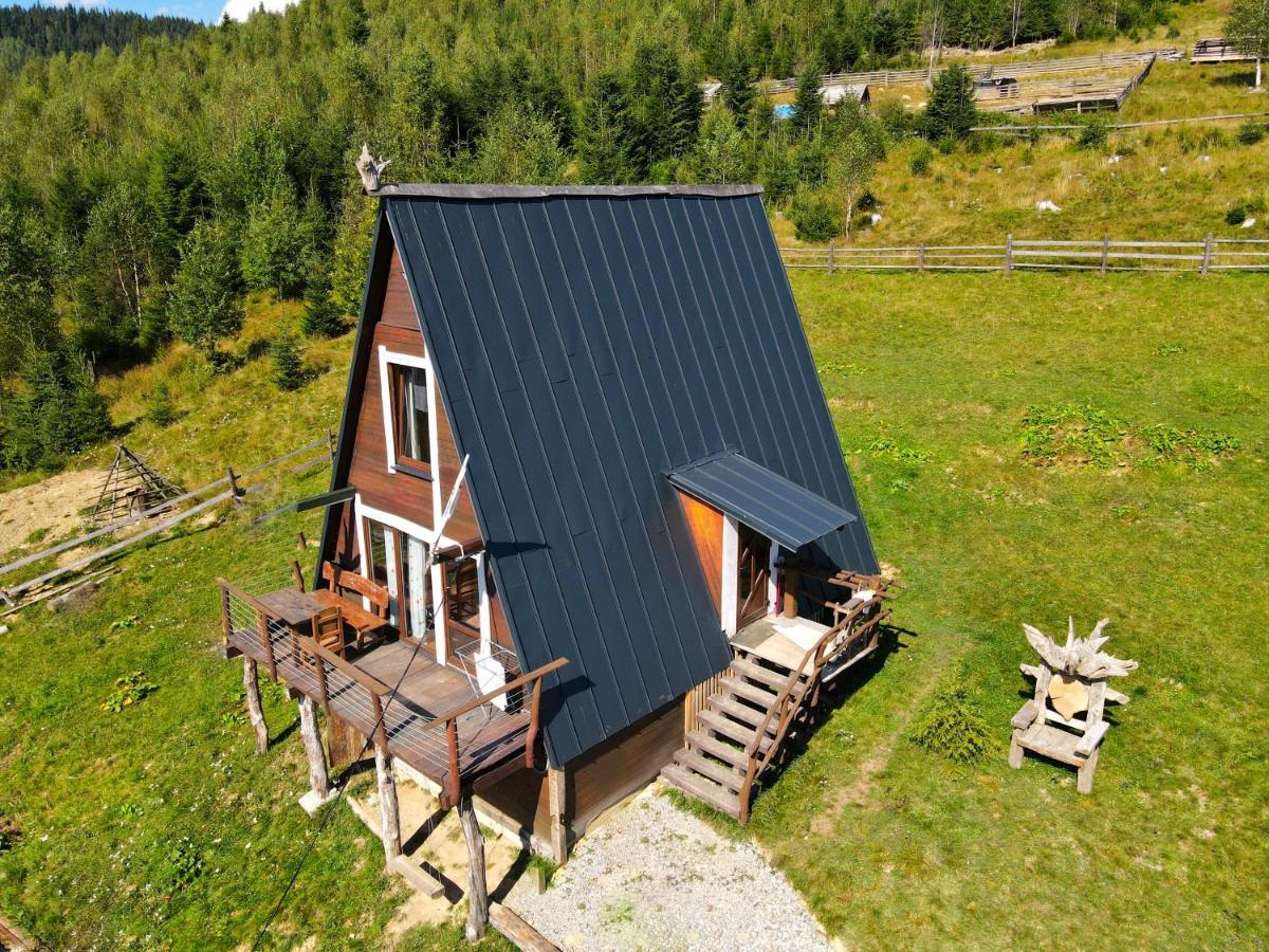 Oak House Διαμέρισμα Palyanytsya Εξωτερικό φωτογραφία