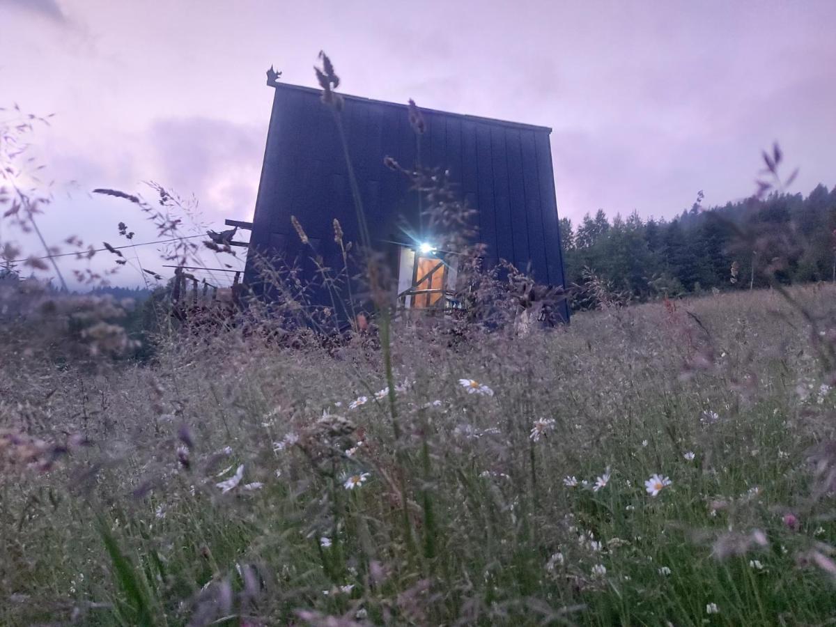 Oak House Διαμέρισμα Palyanytsya Εξωτερικό φωτογραφία