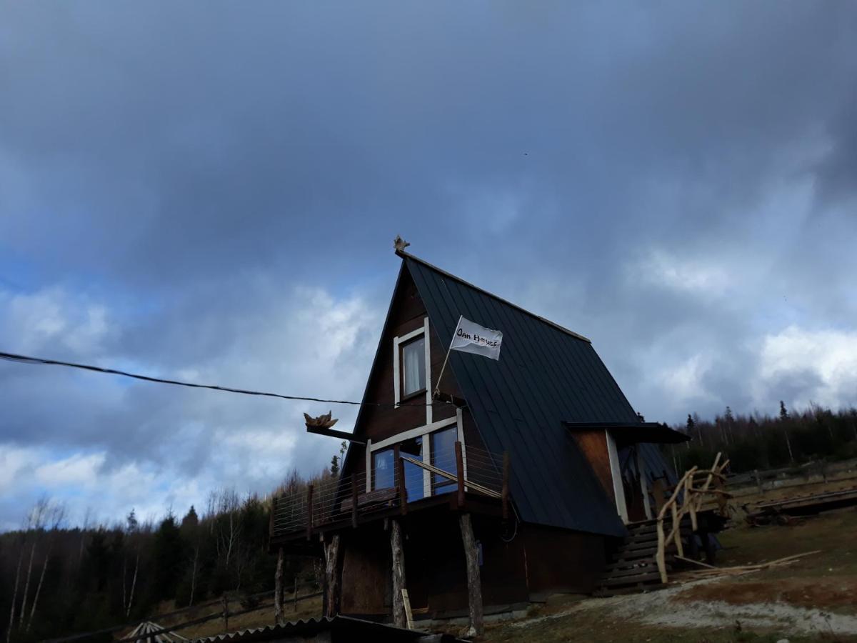 Oak House Διαμέρισμα Palyanytsya Εξωτερικό φωτογραφία