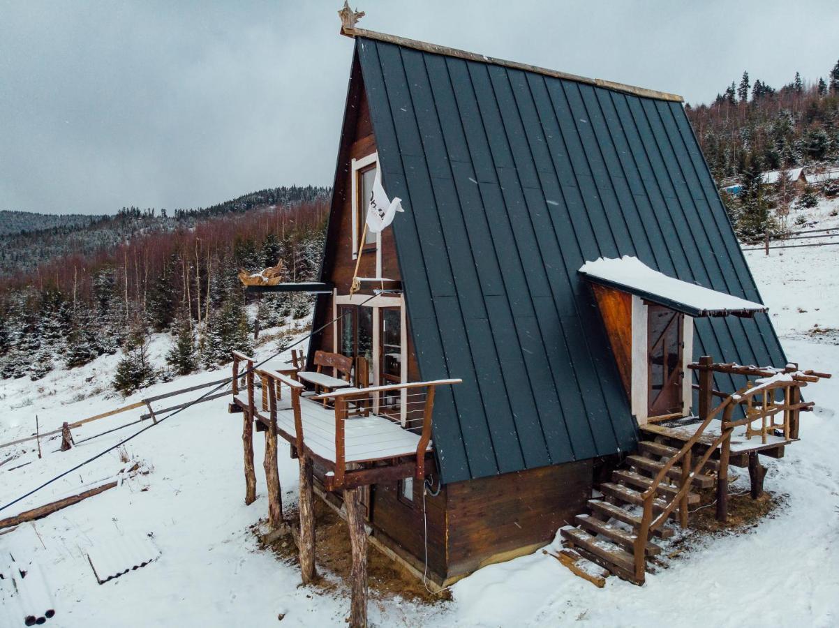 Oak House Διαμέρισμα Palyanytsya Εξωτερικό φωτογραφία
