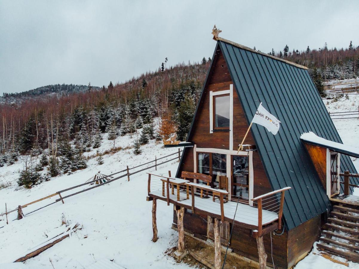 Oak House Διαμέρισμα Palyanytsya Εξωτερικό φωτογραφία